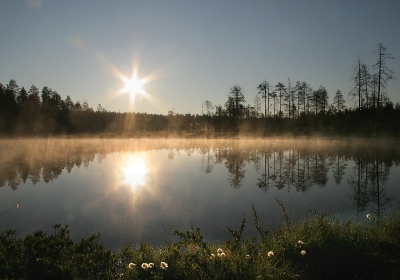 <i class='fa fa-user'></i> Rudi Debruyne | Landschap in Finland  <i class='fa fa-eye'> 370</i>  <i class='fa fa-thumbs-up'> 1</i>   <i class='fa fa-comment-o'> 6</i>