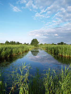 <i class='fa fa-user'></i> Alexander | De polder van Kockengen  <i class='fa fa-eye'> 175</i>   <i class='fa fa-comment-o'> 3</i>