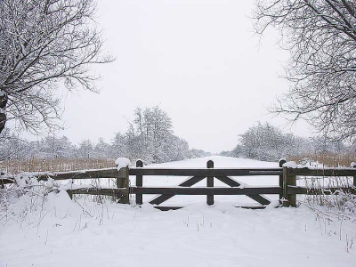 <i class='fa fa-user'></i>&nbsp;Gert Paassen&nbsp;| Sneeuwlandschap&nbsp; <i class='fa fa-eye'>&nbsp;377</i> &nbsp; <i class='fa fa-comment-o'>&nbsp;6</i>