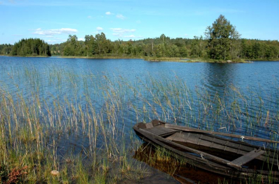 <i class='fa fa-user'></i>&nbsp;Ron van Holten&nbsp;| Zweeds meer&nbsp; <i class='fa fa-eye'>&nbsp;218</i> &nbsp; <i class='fa fa-comment-o'>&nbsp;1</i>