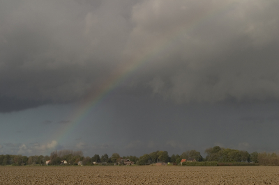 <i class='fa fa-user'></i>&nbsp;Martin van der Giesen&nbsp;| Regenboog&nbsp; <i class='fa fa-eye'>&nbsp;206</i> &nbsp; <i class='fa fa-comment-o'>&nbsp;2</i>