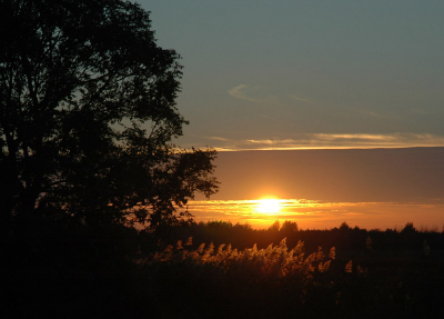 <i class='fa fa-user'></i>&nbsp;Elisa&nbsp;| Zonsondergang&nbsp; <i class='fa fa-eye'>&nbsp;245</i> &nbsp;<i class='fa fa-thumbs-up'>&nbsp;1</i> &nbsp; <i class='fa fa-comment-o'>&nbsp;6</i>