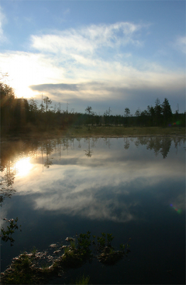 <i class='fa fa-user'></i> Peter Grobben | Ochtendzon boven de Taigabossen en het drassige veen  <i class='fa fa-eye'> 239</i>   <i class='fa fa-comment-o'> 4</i>