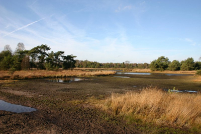 <i class='fa fa-user'></i>&nbsp;Art&nbsp;| Buurserzand&nbsp; <i class='fa fa-eye'>&nbsp;232</i> &nbsp; <i class='fa fa-comment-o'>&nbsp;4</i>