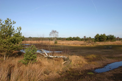 <i class='fa fa-user'></i>&nbsp;Art&nbsp;| Buurserzand&nbsp; <i class='fa fa-eye'>&nbsp;261</i> &nbsp; <i class='fa fa-comment-o'>&nbsp;5</i>