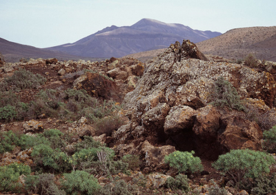 <i class='fa fa-user'></i> Roel Meijer | Natuurmonument Caldera de Gairia  <i class='fa fa-eye'> 169</i>   <i class='fa fa-comment-o'> 0</i>