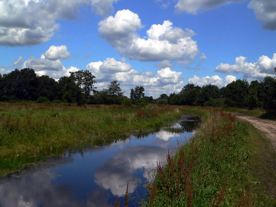 Een heerlijke knapzakroute gelopen in de buurt van Orvelte
Het weer was heerlijk en de wolkenluchten prachtig
Foto genomen met polarisatiefilter