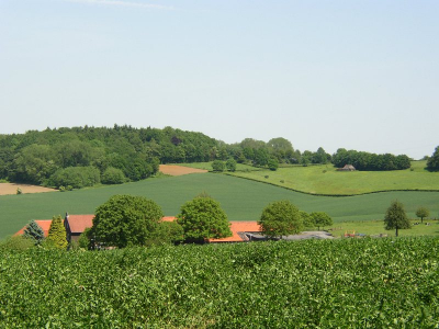 <i class='fa fa-user'></i> hobbyfotograaf | Zuid-Limburgs landschap  <i class='fa fa-eye'> 170</i>   <i class='fa fa-comment-o'> 1</i>