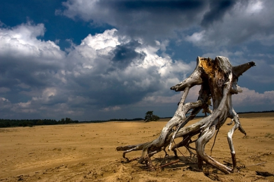 kom vaak op deze plek maar fotografeer alleen bij wolkenluchten dan is t daar extra aantrekkelijk
zie voor meer op www.wimwilmers.nl