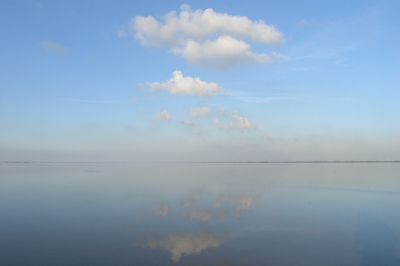 <i class='fa fa-user'></i> Hendrik van Kampen | Waddenzee boven Hallum  <i class='fa fa-eye'> 266</i>  <i class='fa fa-thumbs-up'> 5</i>   <i class='fa fa-comment-o'> 14</i>