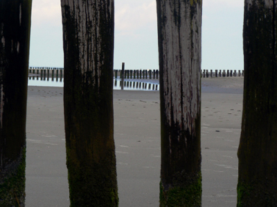 Op het strand ten westen van Holwerd (Ameland) staan overal golfbreker-paaltjes. Door een laag standpunt te kiezen, veranderde het uitzicht in weids naar een tralie-achtige structuur.

Panasonic LUMIX DMC-FZ7
f/5.6
Sluitertijd: 1/250s
ISO 80