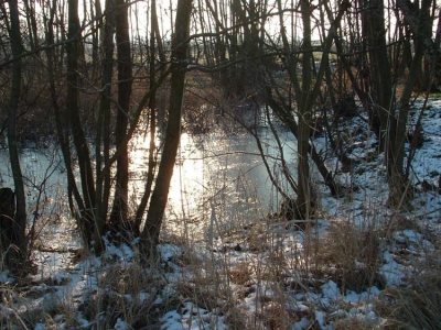 Nog een foto van vorig jaar. Krijg  alweer zin de winter. Lage zon en bevroren velden.