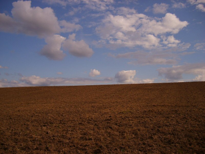 eenvoud. 

De horizon loopt van nature schuin af naar links.