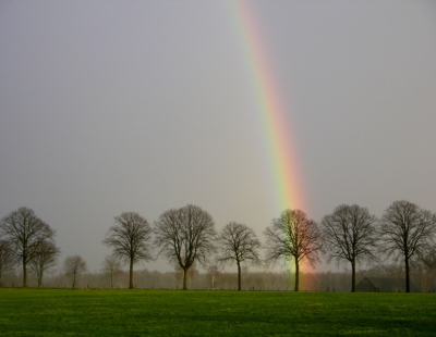 Sfeerplaatje van een winterse regenboog