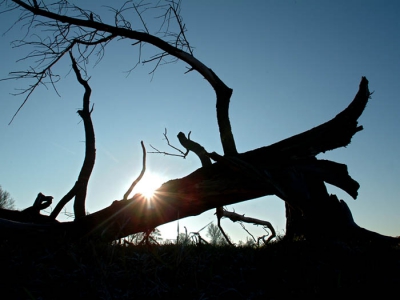 <i class='fa fa-user'></i>&nbsp;Martijn de Jonge&nbsp;| Oderdelta&nbsp; <i class='fa fa-eye'>&nbsp;346</i> &nbsp; <i class='fa fa-comment-o'>&nbsp;1</i>