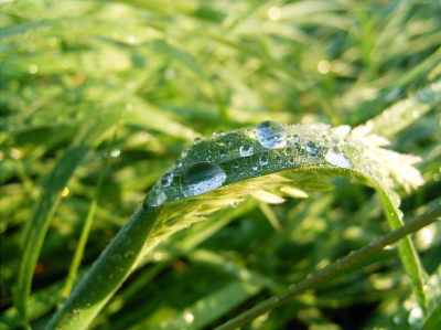 <i class='fa fa-user'></i> Outdoordude | Morgendauw  <i class='fa fa-eye'> 68</i>   <i class='fa fa-comment-o'> 2</i>