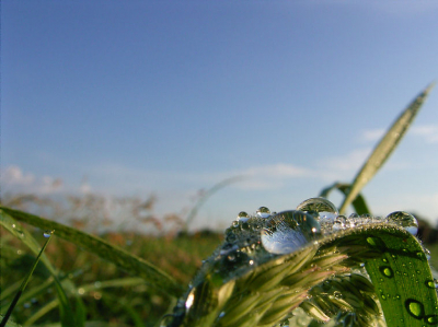 <i class='fa fa-user'></i> Outdoordude | Morgen dauw  <i class='fa fa-eye'> 82</i>   <i class='fa fa-comment-o'> 0</i>