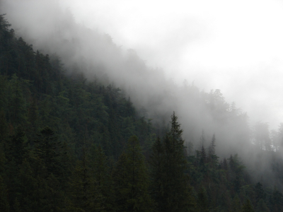 <i class='fa fa-user'></i> maurice | (ochtend) mist in het tatra gebergte  <i class='fa fa-eye'> 99</i>   <i class='fa fa-comment-o'> 2</i>