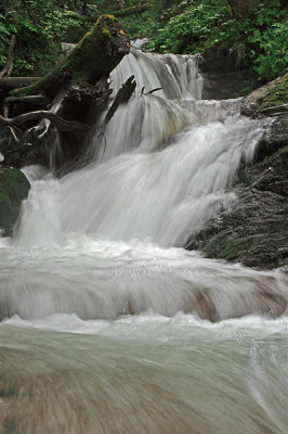 <i class='fa fa-user'></i> Adri Clements | Waterval  <i class='fa fa-eye'> 135</i>   <i class='fa fa-comment-o'> 11</i>