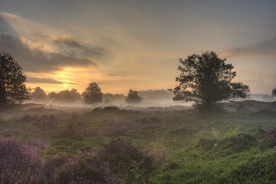 Nog een foto in HDR. Deze is iets krachtiger wat mij betreft.