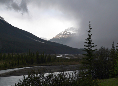 <i class='fa fa-user'></i> Inge | Icefields Parkway  <i class='fa fa-eye'> 98</i>   <i class='fa fa-comment-o'> 2</i>