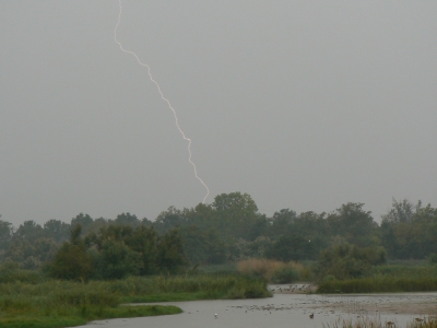 Op deze dag Was het slecht weer met veel regen. De omstandigheden waren niet zo goed het was nogal donker.
Op de voorgrond het natuurgebied met wat vogels