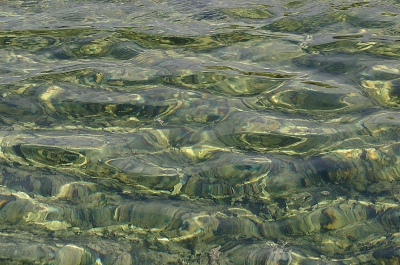 <i class='fa fa-user'></i> andrea | Watertje in Camouflage kleuren  <i class='fa fa-eye'> 201</i>   <i class='fa fa-comment-o'> 13</i>