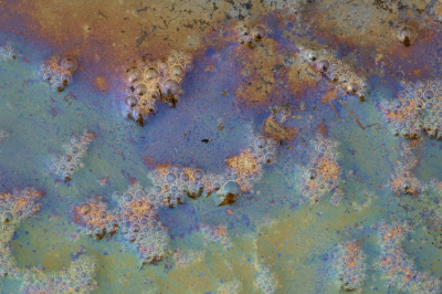 <i class='fa fa-user'></i> Hendrik van Kampen | Vlies van IJzerbacterin  <i class='fa fa-eye'> 1160</i>   <i class='fa fa-comment-o'> 17</i>