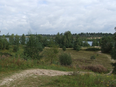 Nog een van de Maasduinen van zaterdag j.l. 
Heerlijk gebied waar je uren kunt ronddwalen zonder iemand tegen te komen. Nergens naar op zoek, ik laat me gewoon verrassen door alles wat mijn pad kruist.