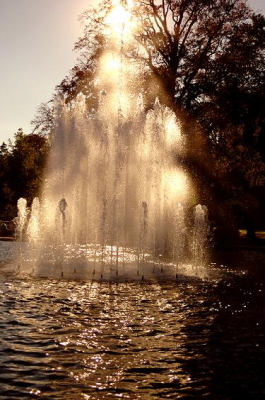 dit is een fontein in de tuinen van paleis het loo vond het een foto met sfeer van wegge de zon achter de fontein al is het wat donker zo