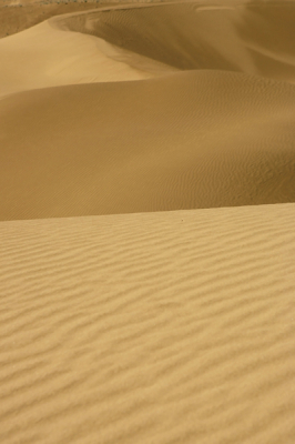 <i class='fa fa-user'></i> Bokje | Zandduinen in de Himalaya  <i class='fa fa-eye'> 121</i>   <i class='fa fa-comment-o'> 4</i>