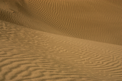 <i class='fa fa-user'></i> Bokje | Zandduinen in de Himalaya  <i class='fa fa-eye'> 118</i>   <i class='fa fa-comment-o'> 2</i>