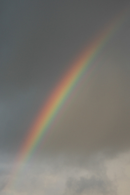 <i class='fa fa-user'></i> Elisa | Stairway to heaven (regenboog)  <i class='fa fa-eye'> 110</i>   <i class='fa fa-comment-o'> 4</i>