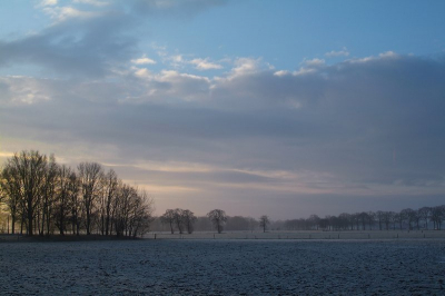De morgenstond = koud aan de grond
's morgens met het eerste prachtige (vreemde) licht