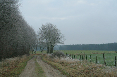 <i class='fa fa-user'></i> Rudi Debruyne | Landschap in de Hoge Venen  <i class='fa fa-eye'> 210</i>   <i class='fa fa-comment-o'> 3</i>