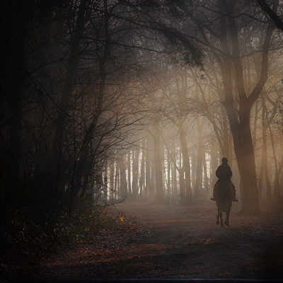 Hier is de versie tegen een zwarte achtergrond te vinden:
http://www.shutterfreaks.com/gallery2/album152/Kampina_Q_10