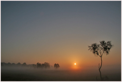 Hier nog een foto van afgelopen zaterdag van de zonsopkomst op de heide te Heeze.
Canon 350 D,17/85mm,17 mm stand,F13,1/200 sec,iso 200