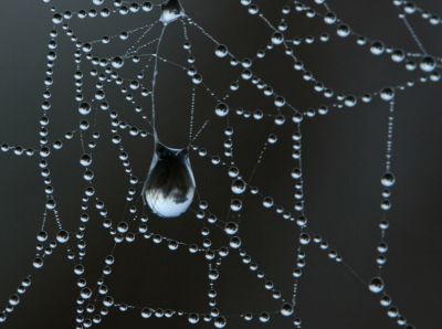 Macro-opname van dauw-parels op een spinneweb
Canon 350 D,canon 100 2.8,F7.1,1/6 sec,iso 200,op statief
