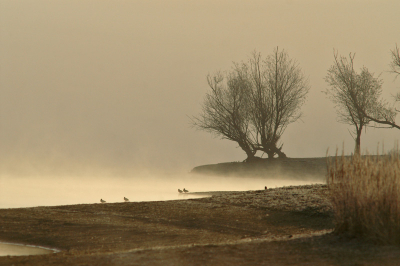 <i class='fa fa-user'></i> jan broekhuizen | Landschap  <i class='fa fa-eye'> 312</i>   <i class='fa fa-comment-o'> 4</i>