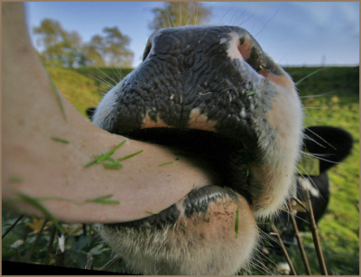 mijn lens wordt gratis gereinigd!