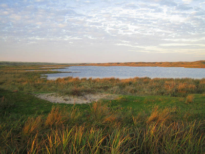 Wegens het weer ook nog maar eens in eopend werk gaan snuffelen .. 
Dit is gebied De Naal op Texel, laat in de middag met een laagstaand zonnetje. een pracht!