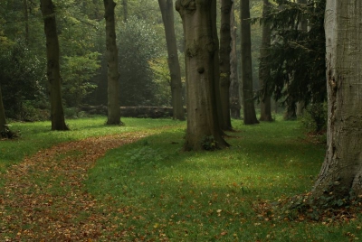 <i class='fa fa-user'></i> jannie | Herfst in de Warmondse bos  <i class='fa fa-eye'> 182</i>   <i class='fa fa-comment-o'> 5</i>