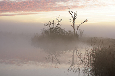 <i class='fa fa-user'></i> natuurflits.nl | Ochtend mist  <i class='fa fa-eye'> 156</i>   <i class='fa fa-comment-o'> 3</i>