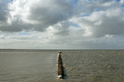 <i class='fa fa-user'></i> Tim Oord | Waddenlandschap  <i class='fa fa-eye'> 142</i>   <i class='fa fa-comment-o'> 4</i>