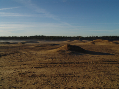 natuurontwikkelingsproject herstel stuifzand  2005 2006, vanaf 187  463 r ZuidWest