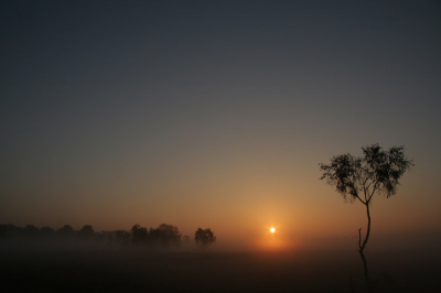 Deze magische zonsopgang opnieuw geplaatst,
nu zonder kader
ik had er geen erg in dat deze site zonder kaders was
mijn excuses

greetings Hans