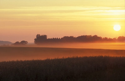 <i class='fa fa-user'></i> Eric Gibcus | Landschap denemarken  <i class='fa fa-eye'> 266</i>   <i class='fa fa-comment-o'> 6</i>