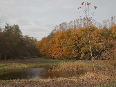 het is herfst in natuurpark