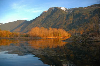 <i class='fa fa-user'></i> Theo van Woerden | Cheamlake wetlands  <i class='fa fa-eye'> 246</i>   <i class='fa fa-comment-o'> 7</i>