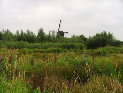 <i class='fa fa-user'></i> Aad Verkuijl | Landschap  <i class='fa fa-eye'> 220</i>   <i class='fa fa-comment-o'> 1</i>